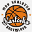 https://img.51yueya.com/img/basketball/team/0c2f73d2ab7041cf90029a20deff7f17.gif